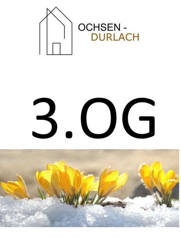 Ochsen-Durlach Karlsruhe Quarto foto